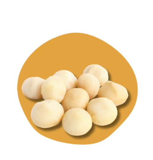 Noix de Macadamia Bio